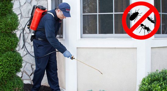 Köyceğiz Gümüşkurt İlaçlama böcek ilaçlama ve haşere kontrolü — ilaclama-tr.com
